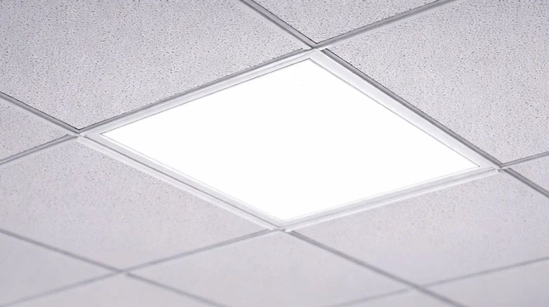 Polystyreen Selectiecheck